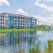 Main picture of Condominium for rent in Land O Lakes, FL
